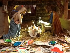 fotografia (29)