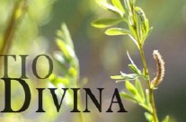 O que é a Lectio Divina?
