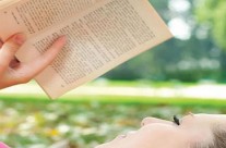Sugestão de leitura para férias