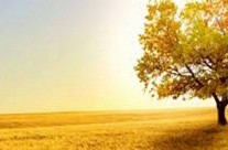 Dois dedos de Liturgia (41)