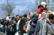 Sobre os refugiados
