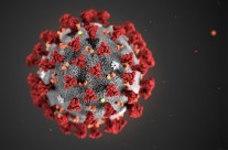 Novas indicações sobre a atual situação de emergência provocada pelo Covid-19