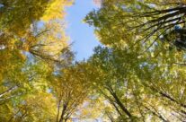 Retiro de Espiritualidade Ecológica
