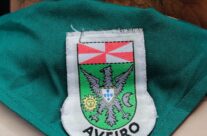 Promessas de Escuteiros – Agrup-191
