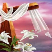 “Não vos assusteis” !